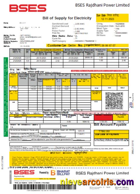 BSES Rajdhani Power Limited electricity utility business bill